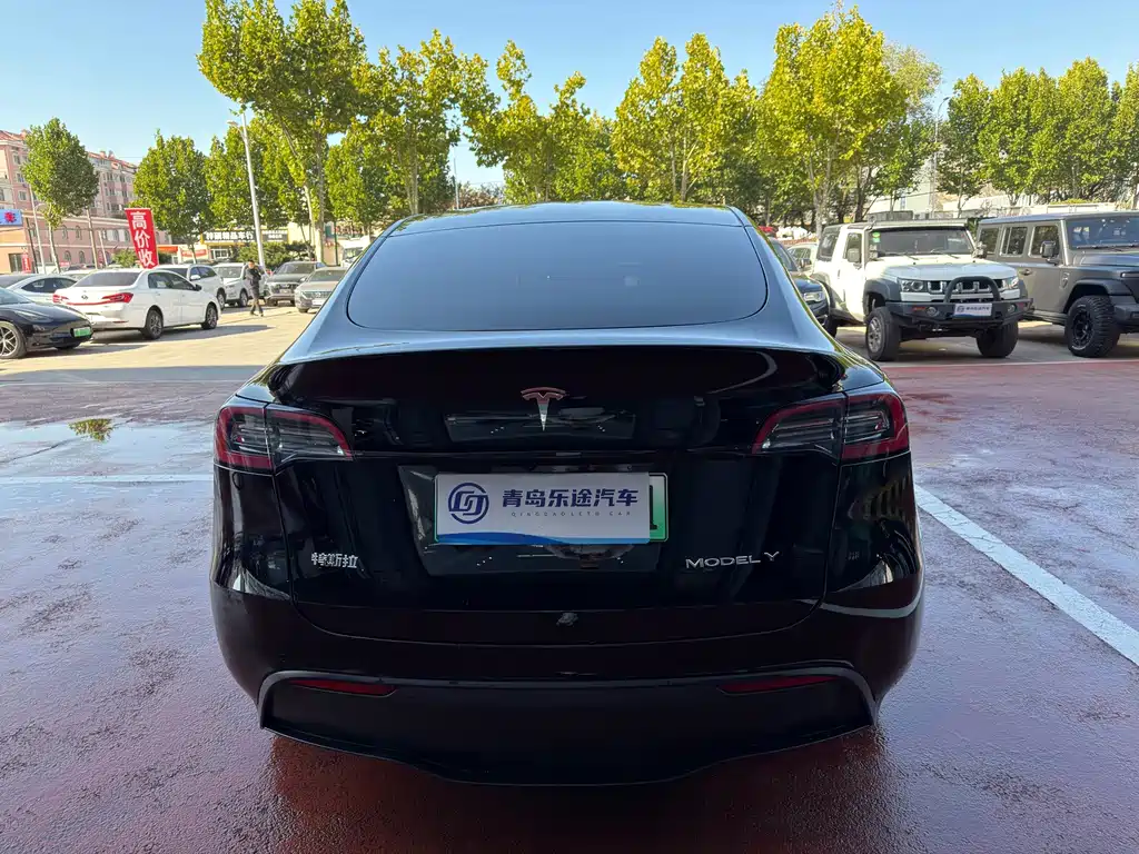 Tesla Model Y — миниатюра 5