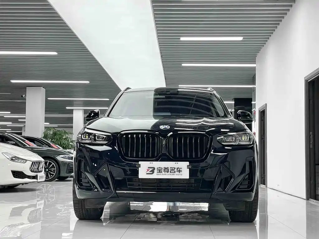 BMW X3 — миниатюра 2