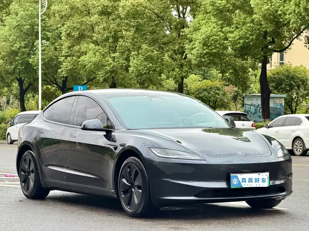 Tesla Model 3 — миниатюра 3