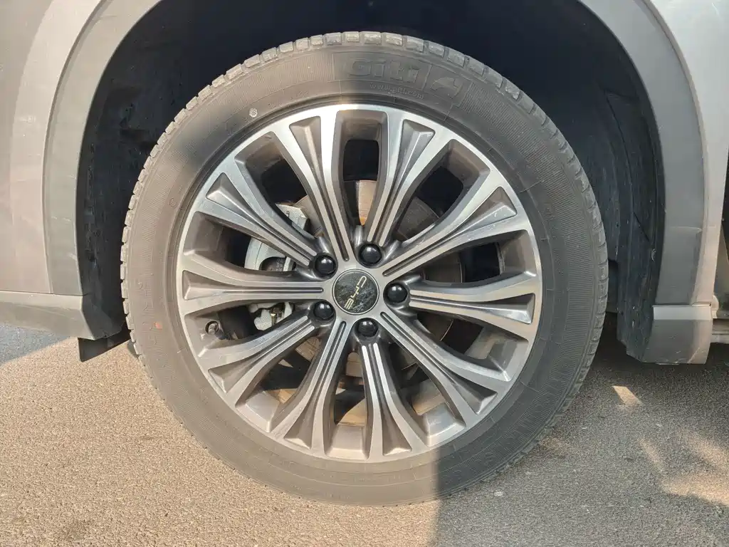 BYD Pro New Energy — миниатюра 18