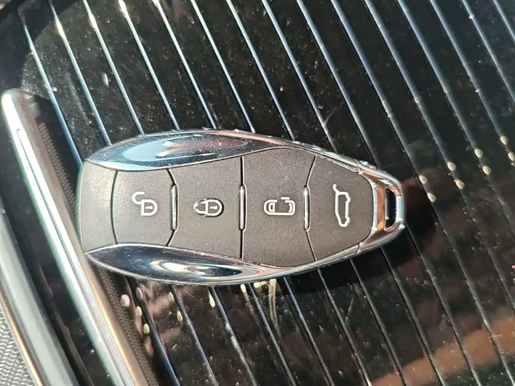 Hongqi Hongqi HQ9 PHEV — миниатюра 9