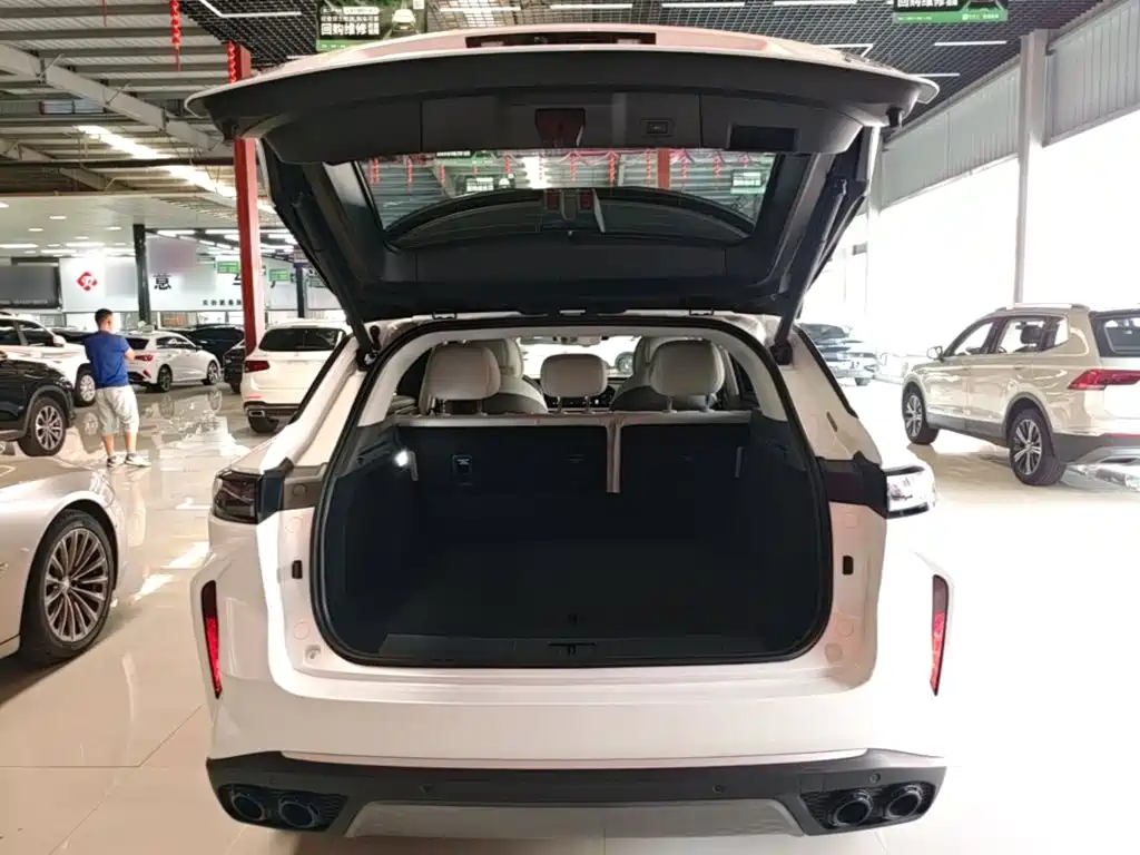 Exeed Yaoguang C-DM — миниатюра 19