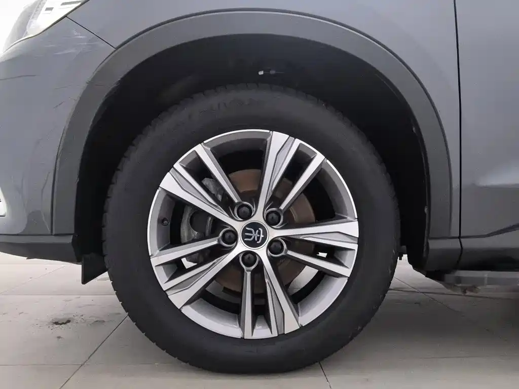 BYD Pro — миниатюра 17