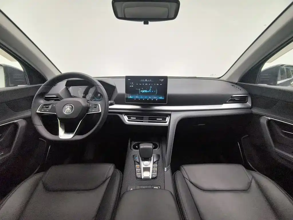 BYD Pro — миниатюра 5