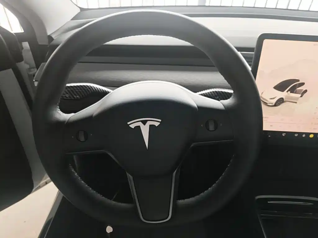 Tesla Model Y — миниатюра 11