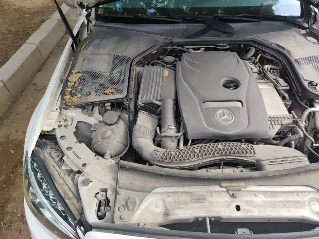 Mercedes-Benz C-Class — миниатюра 19