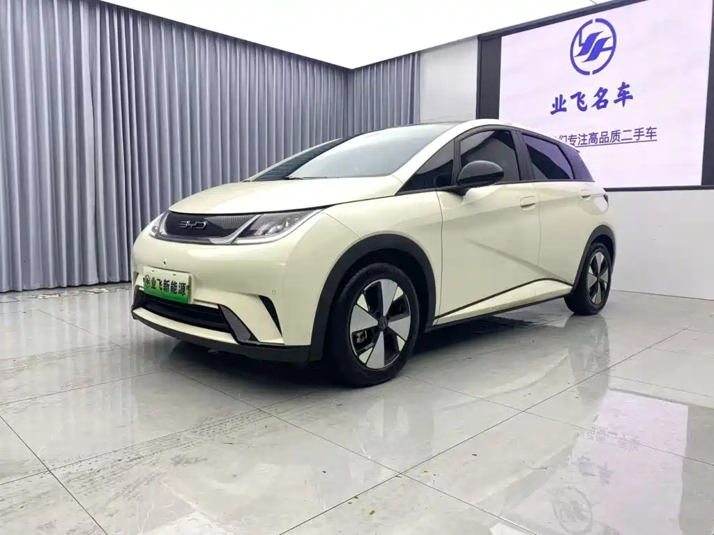 BYD Dolphin