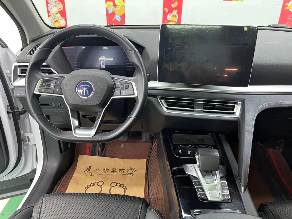 BYD Pro New Energy — миниатюра 11