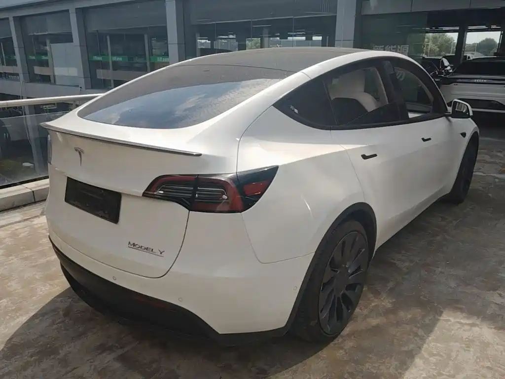 Tesla Model Y — миниатюра 7