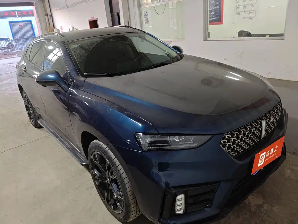 WEI PAI WEI BRAND VV7