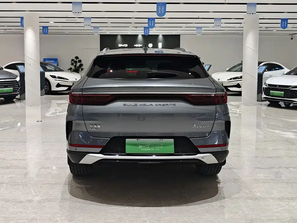 BYD PLUS New Energy — миниатюра 14
