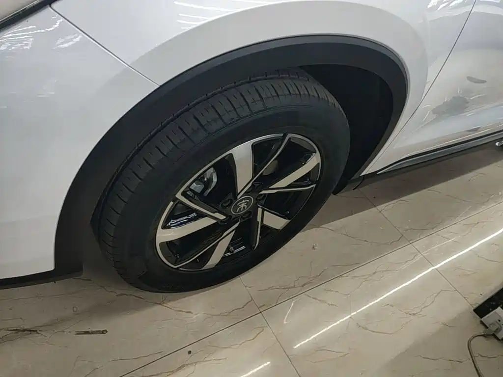 BYD Pro New Energy — миниатюра 23