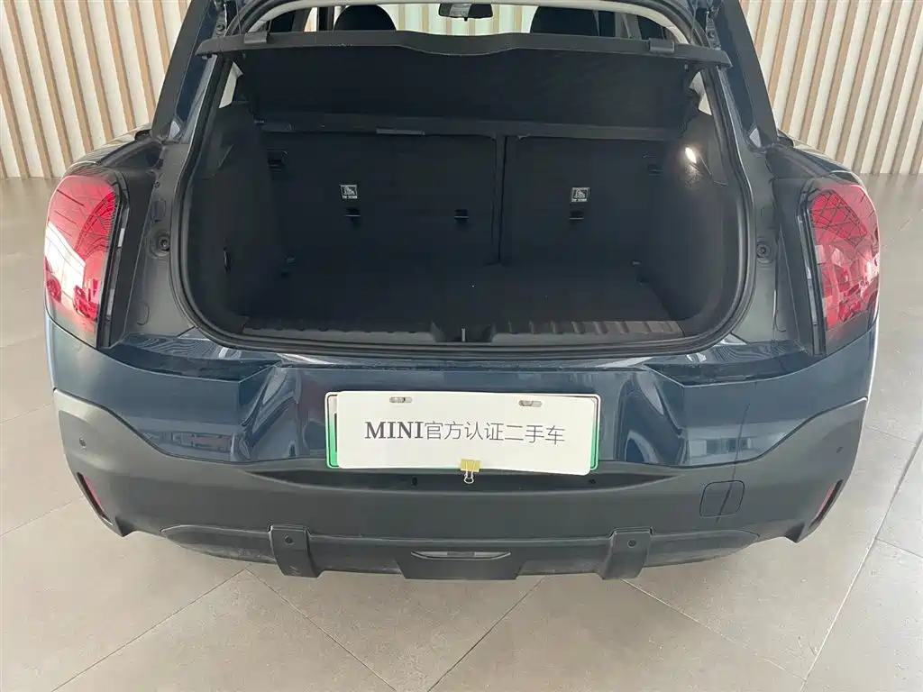 MINI MINI ACEMAN EV — миниатюра 8