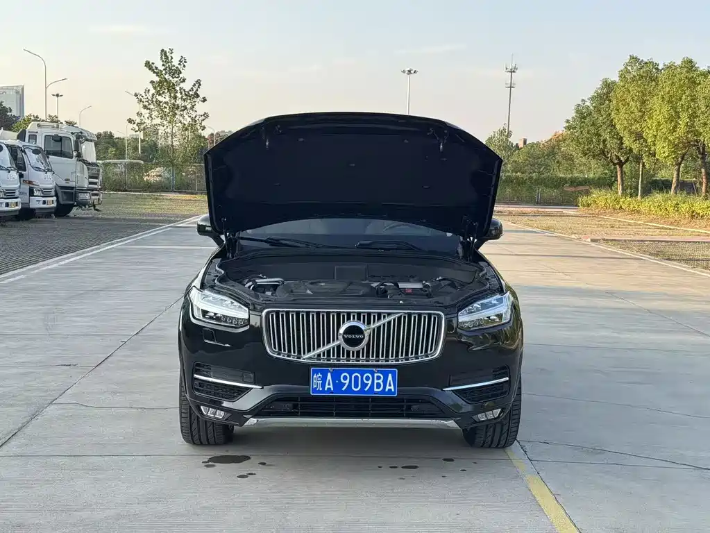 Volvo XC90 — миниатюра 3