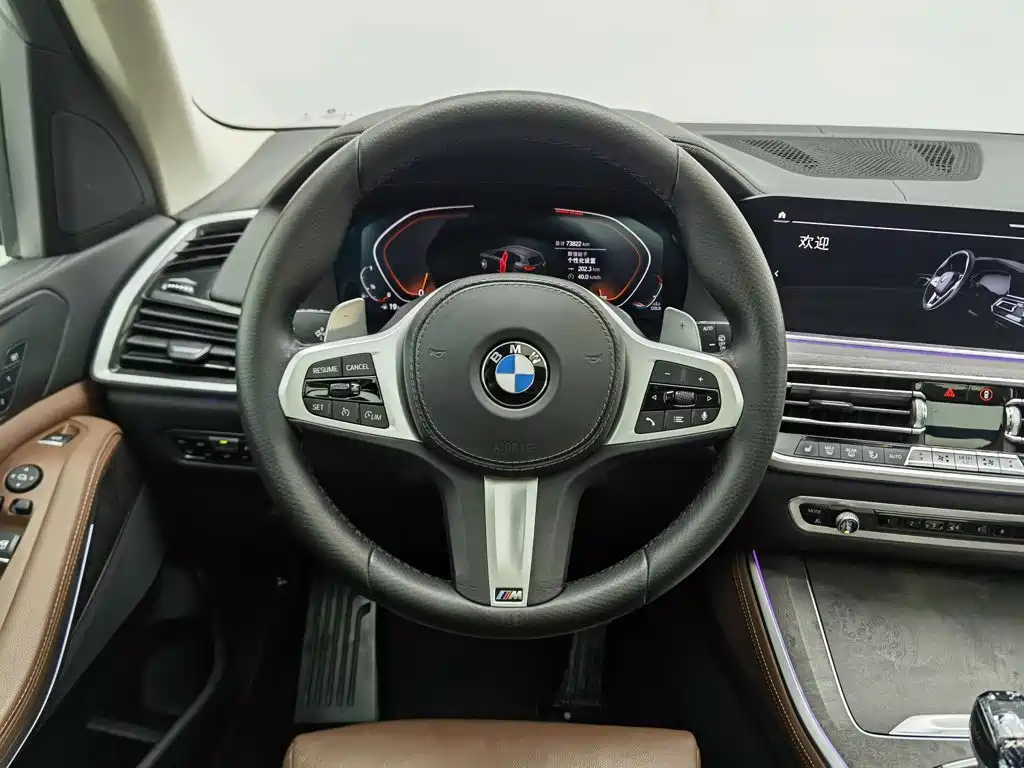 BMW X5 (Import) — миниатюра 11