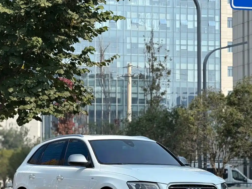 Audi SQ5 — миниатюра 6