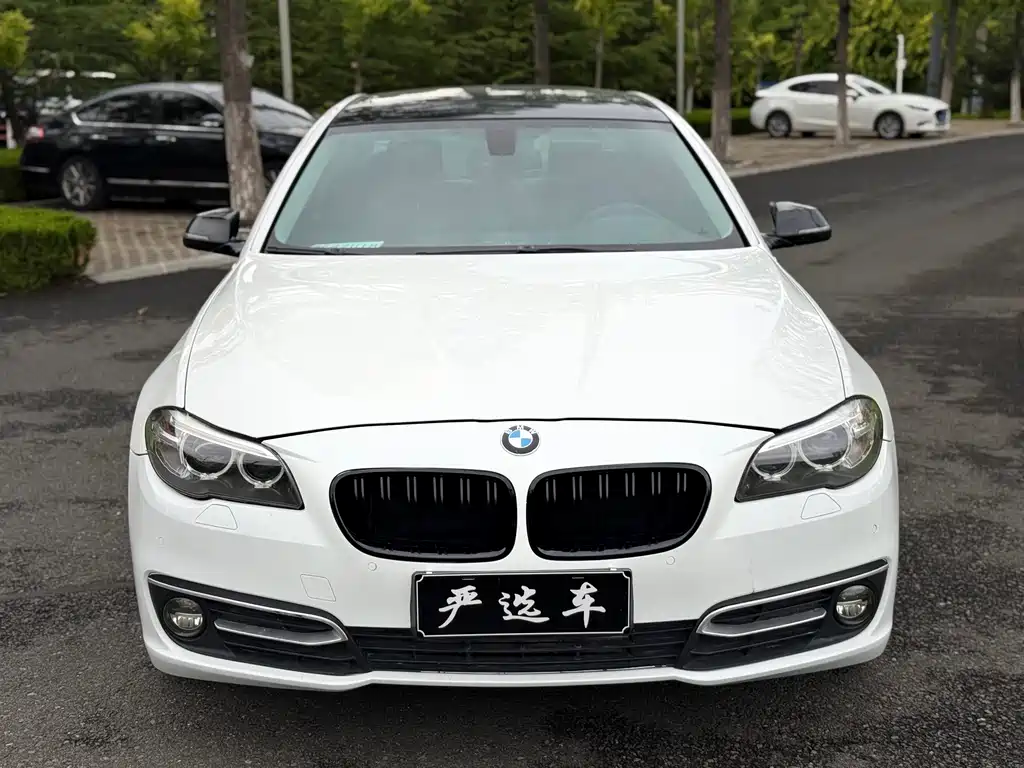 BMW 5 Series — миниатюра 2