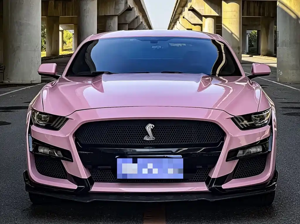 Ford Mustang — миниатюра 3