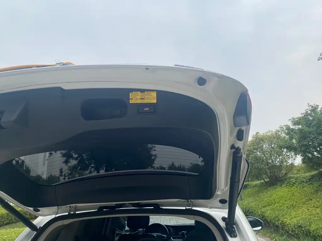 Borgward BX7 — миниатюра 11