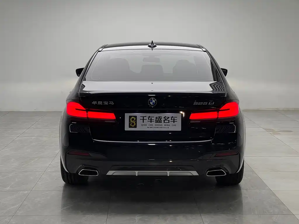 BMW 5 Series — миниатюра 5