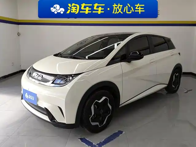 2023 BYD Dolphin