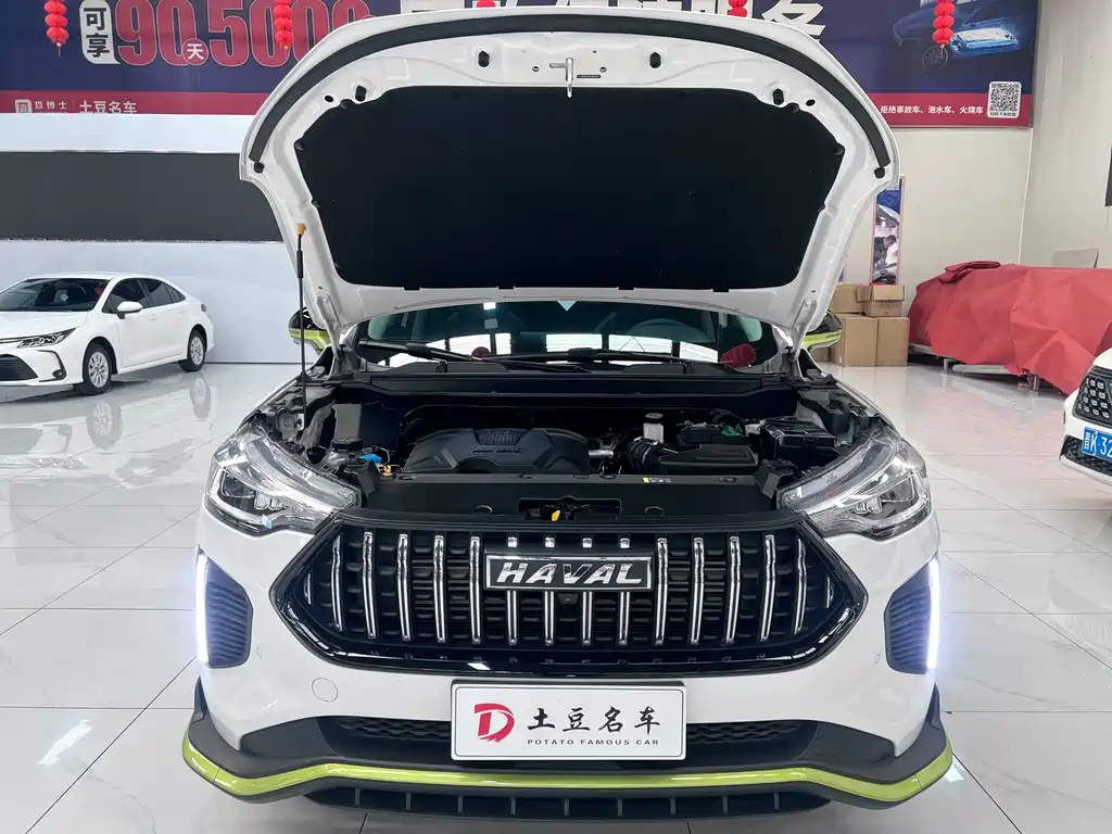 Haval Chitu — миниатюра 17