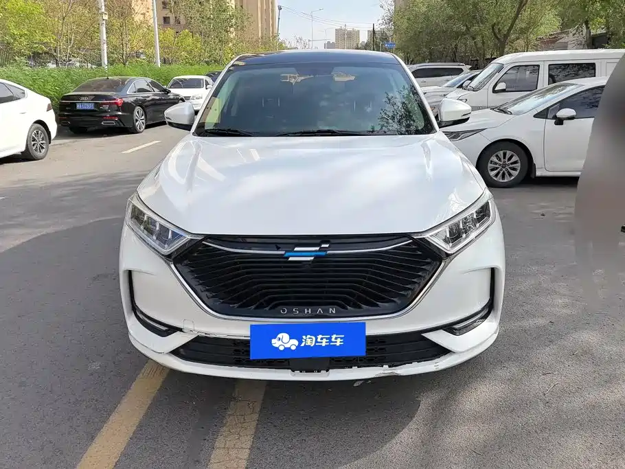 Oshan Oushang X7 — миниатюра 2