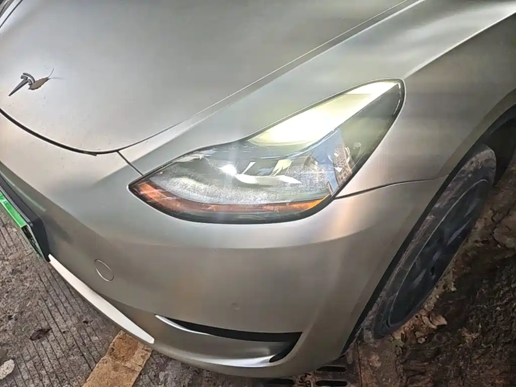 Tesla Model Y — миниатюра 24