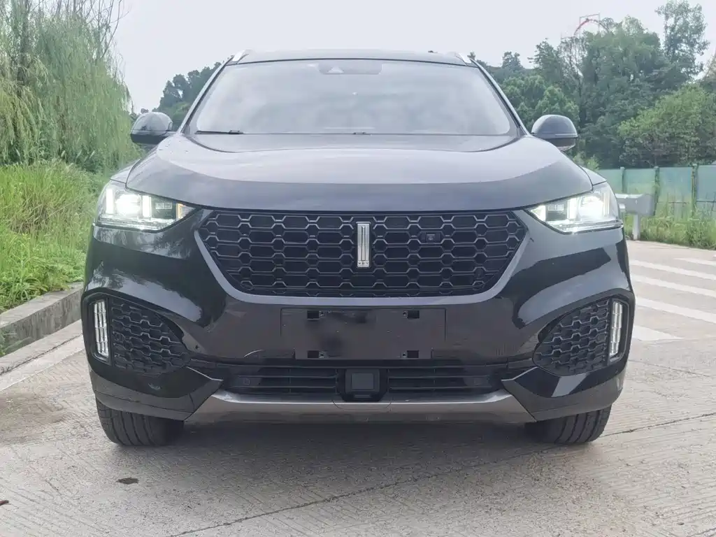 Wey Wey VV6 — миниатюра 2