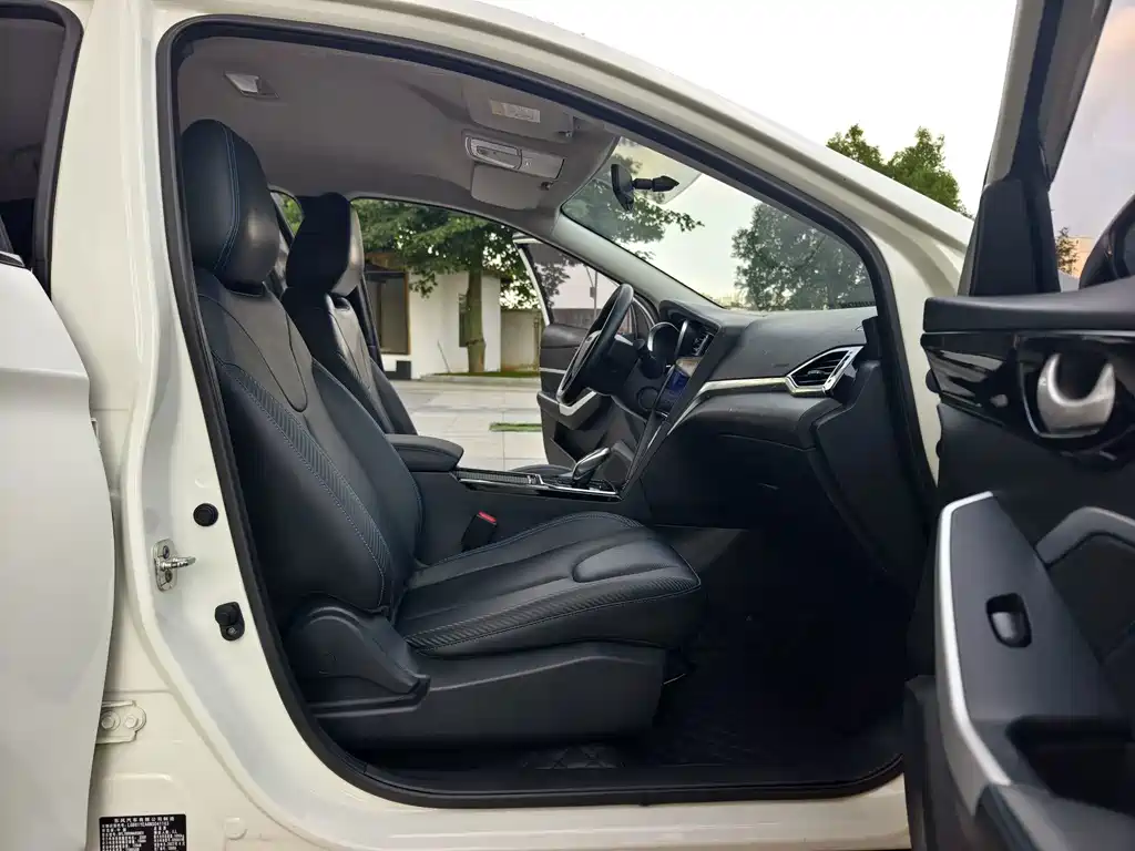 Venucia D60 EV — миниатюра 11