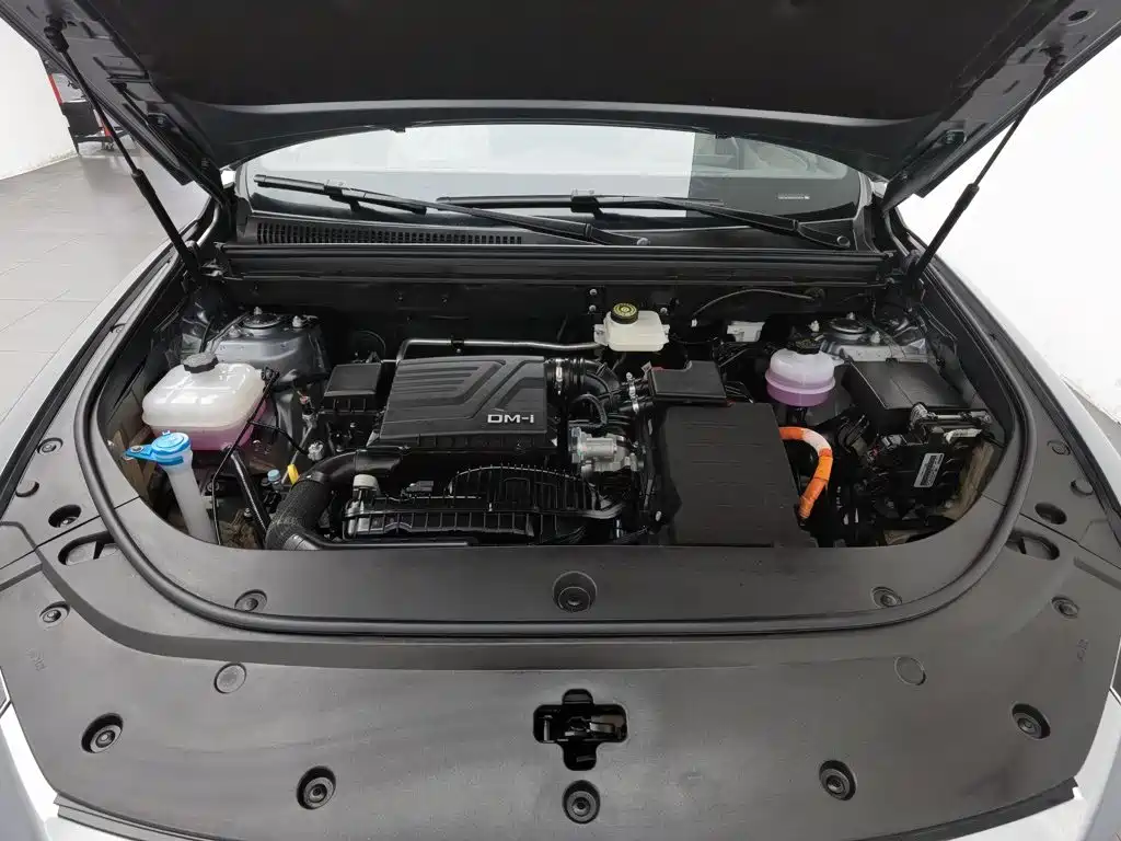 BYD Pro New Energy — миниатюра 6