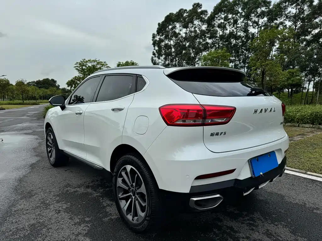 Haval F5 — миниатюра 8