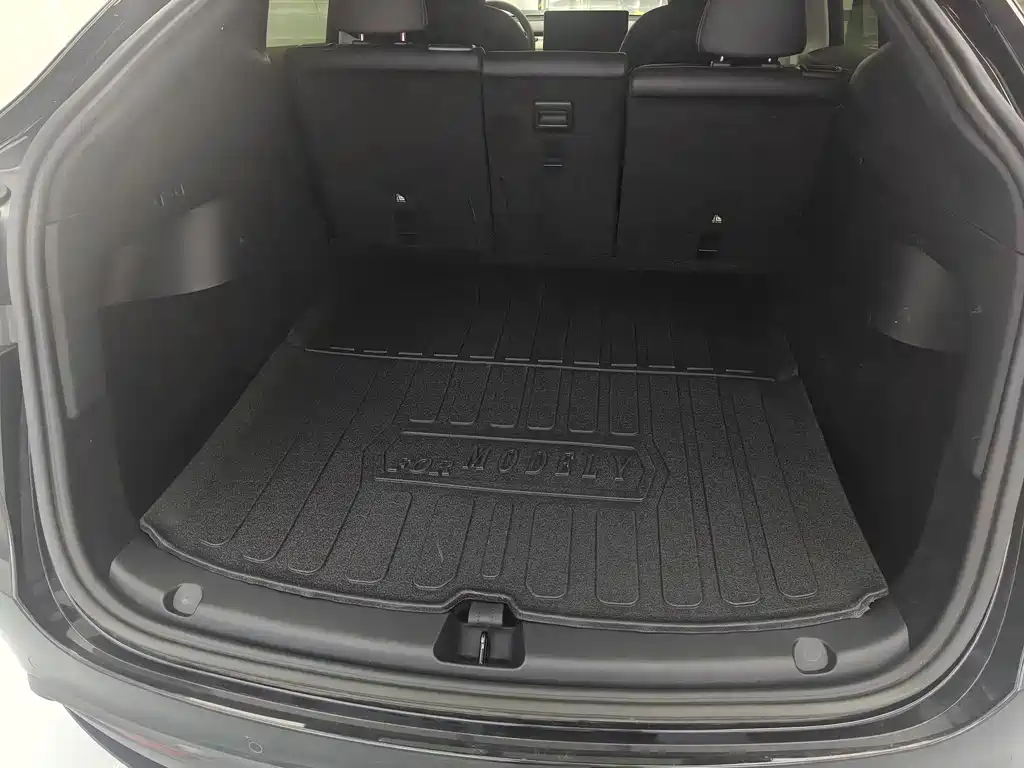 Tesla Model Y — миниатюра 10