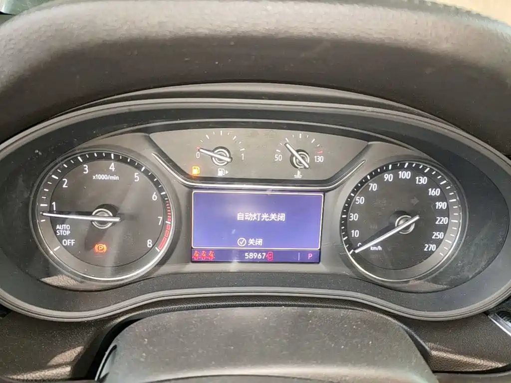 Buick Regal — миниатюра 12