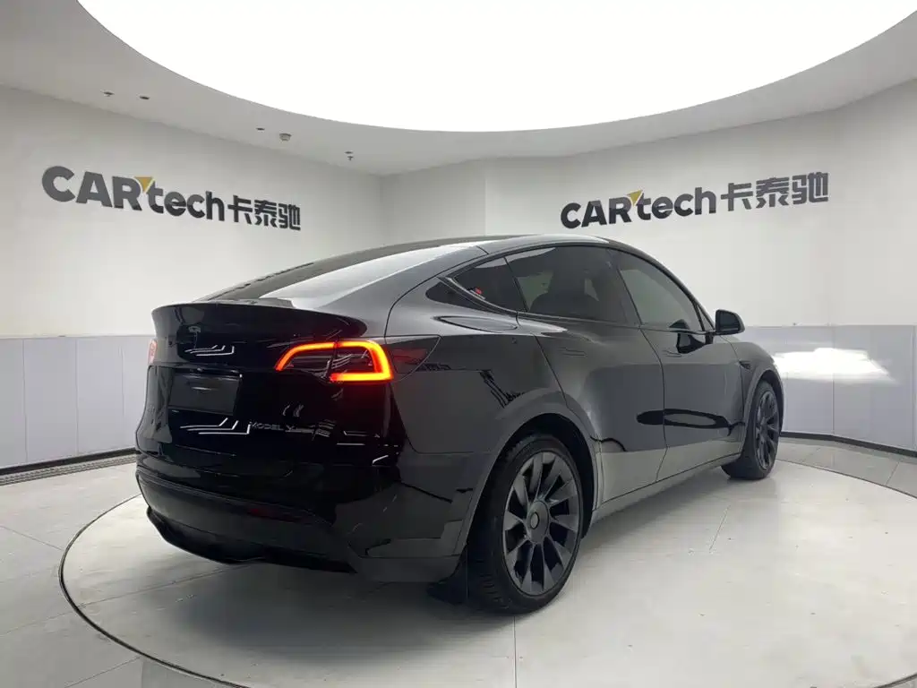 Tesla Model Y — миниатюра 5