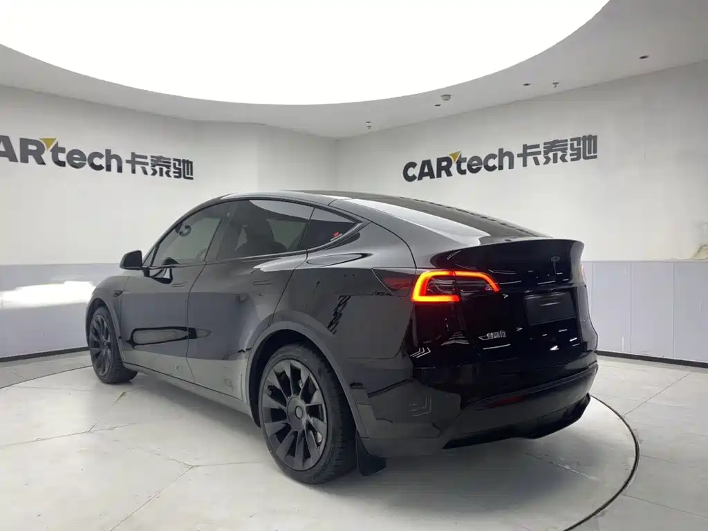 Tesla Model Y — миниатюра 7