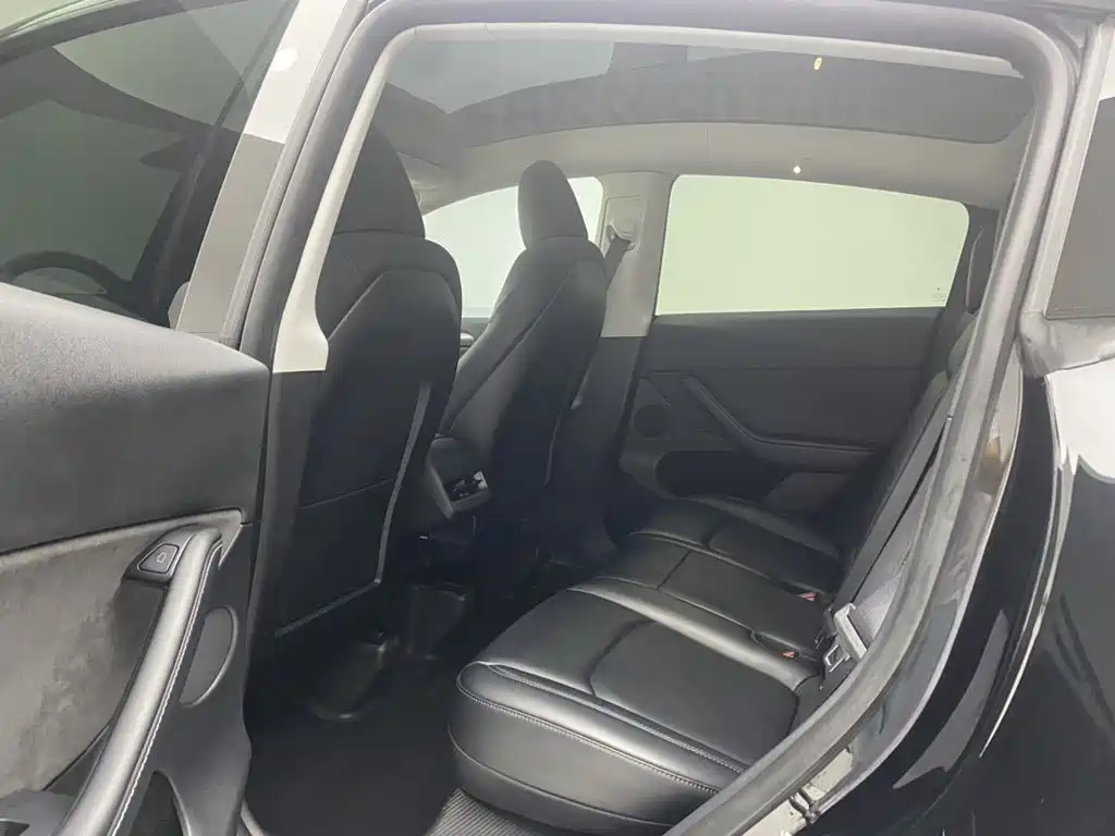Tesla Model Y — миниатюра 19