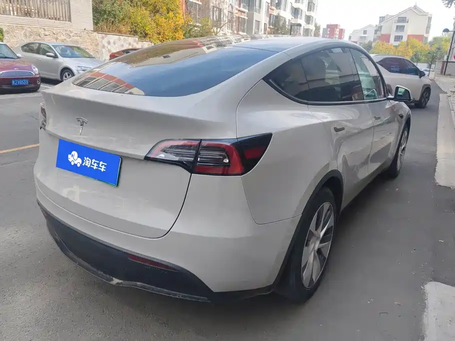 Tesla Model Y — миниатюра 3