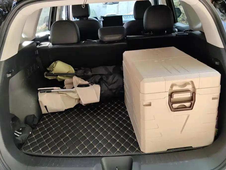 Haval Big Dog PLUS — миниатюра 4