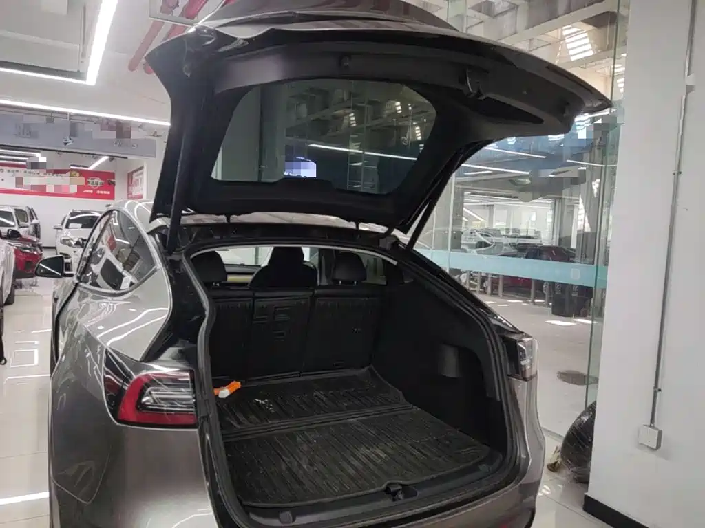 Tesla Model Y — миниатюра 19