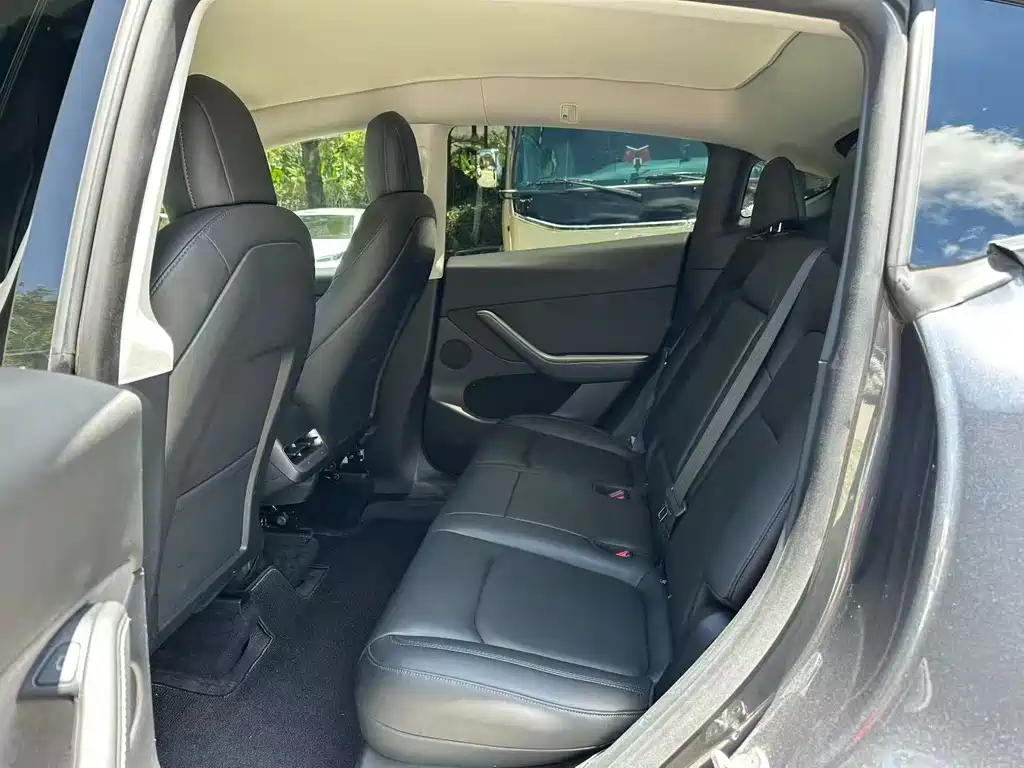 Tesla Model Y — миниатюра 5
