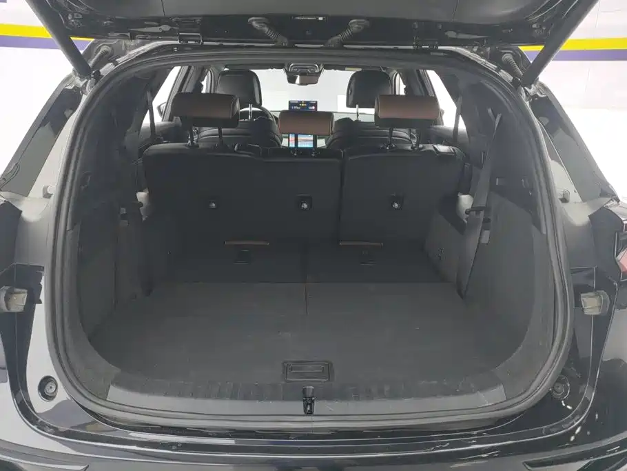 BYD Tang New Energy — миниатюра 4