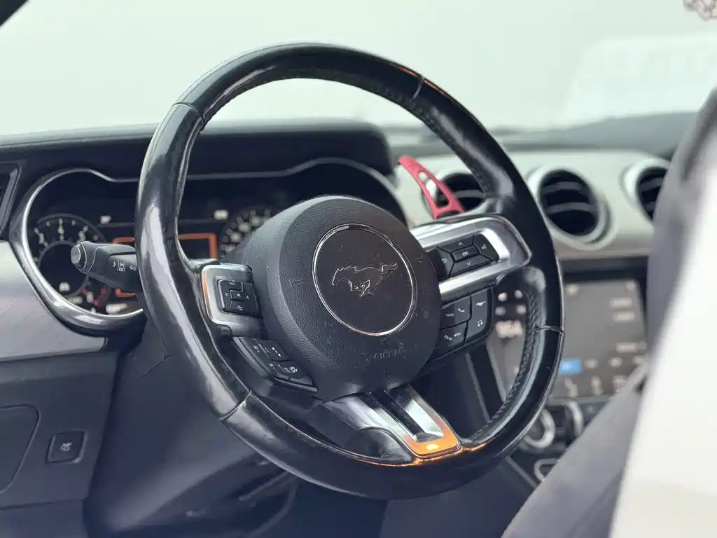 Ford Mustang — миниатюра 5