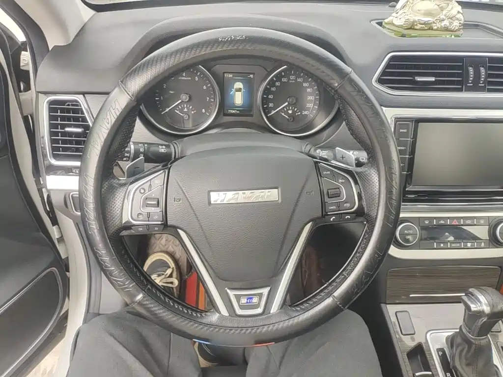 Haval H6 Coupe — миниатюра 11