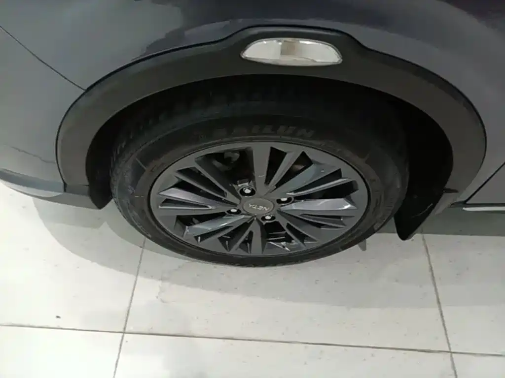 Neta Neta V — миниатюра 23