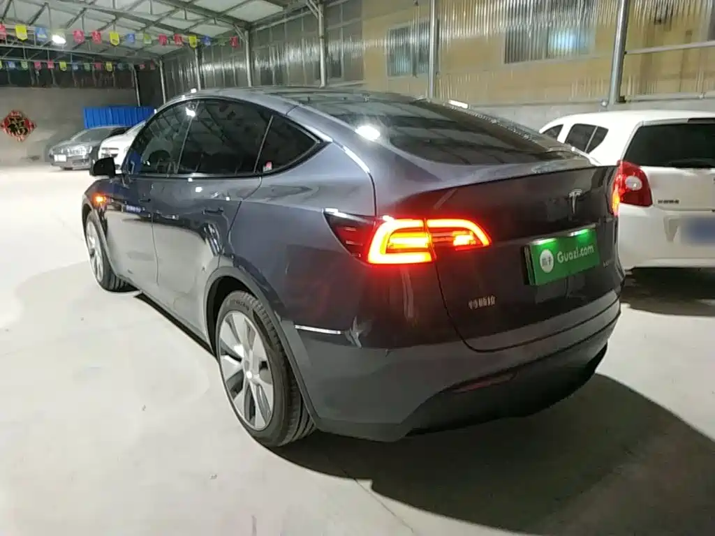 Tesla Model Y — миниатюра 5