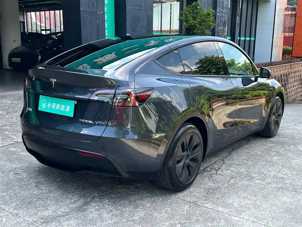 Tesla Model Y — миниатюра 13