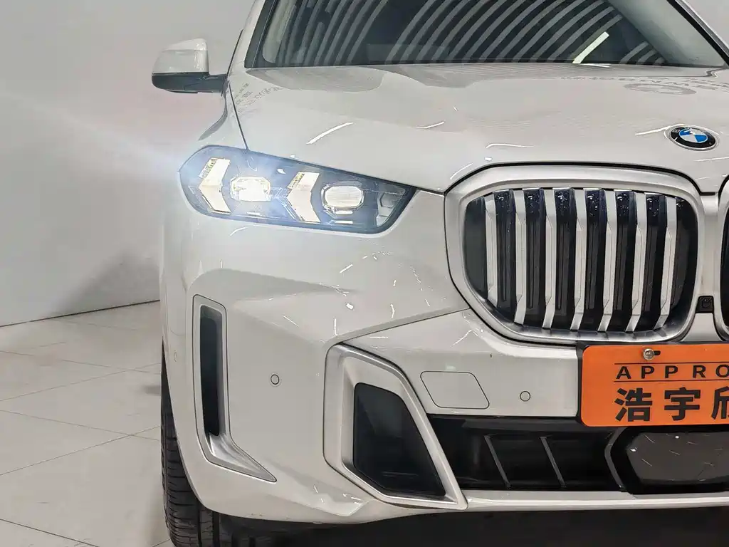 BMW X5 — миниатюра 15