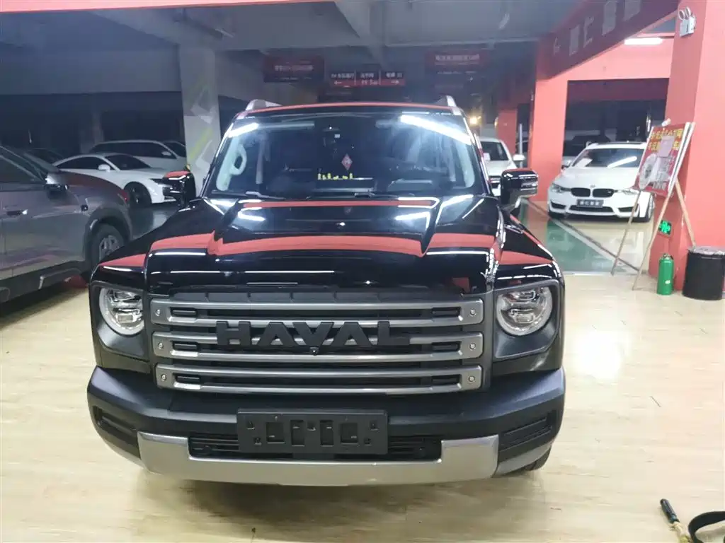 HAVAL  RAPTORS NEW ENERGY