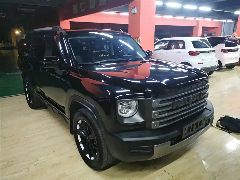 HAVAL  RAPTORS NEW ENERGY